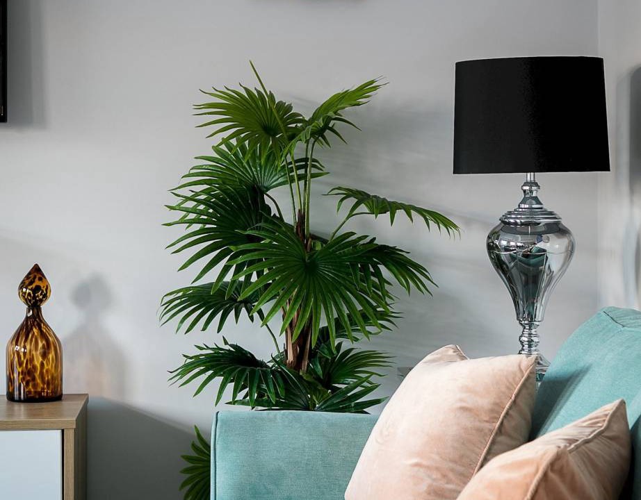 Photo of Livingroom in Kensington