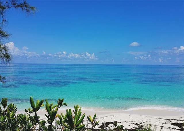 Photo of Outdoor in North Palmetto Point
