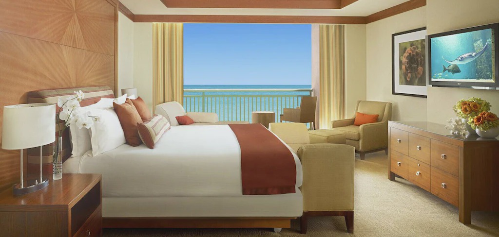 Photo of Others in Paradise Island