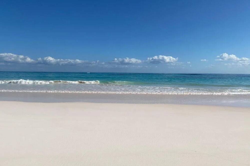 Photo of Outdoor in Savannah Sound