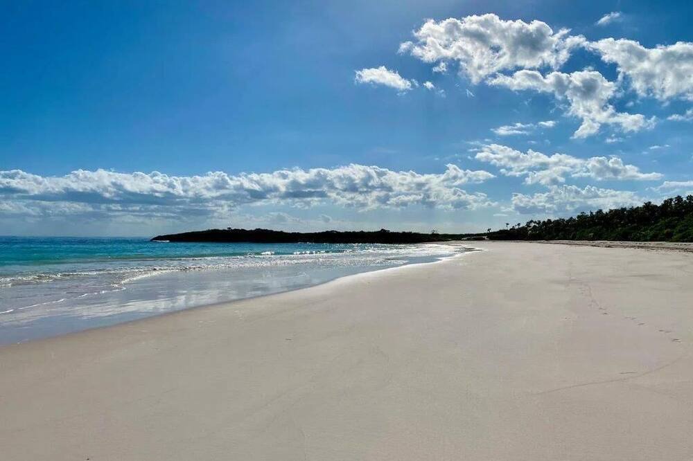 Photo of Outdoor in Savannah Sound