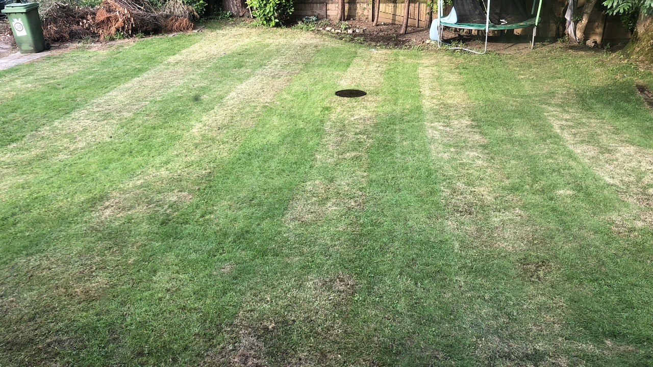 Photo of Outdoor in Lacey Green