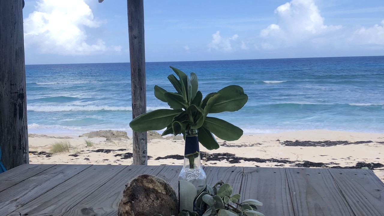 Photo of Outdoor in Long Island