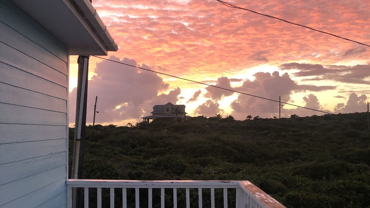Photo of Outdoor in Long Island