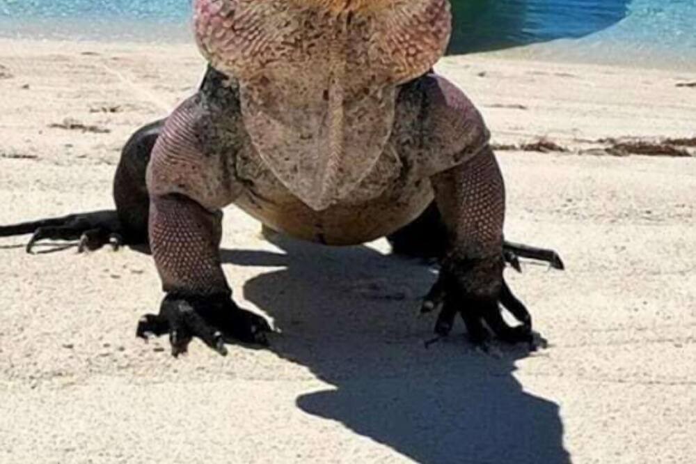 Photo of Others in Staniel Cay