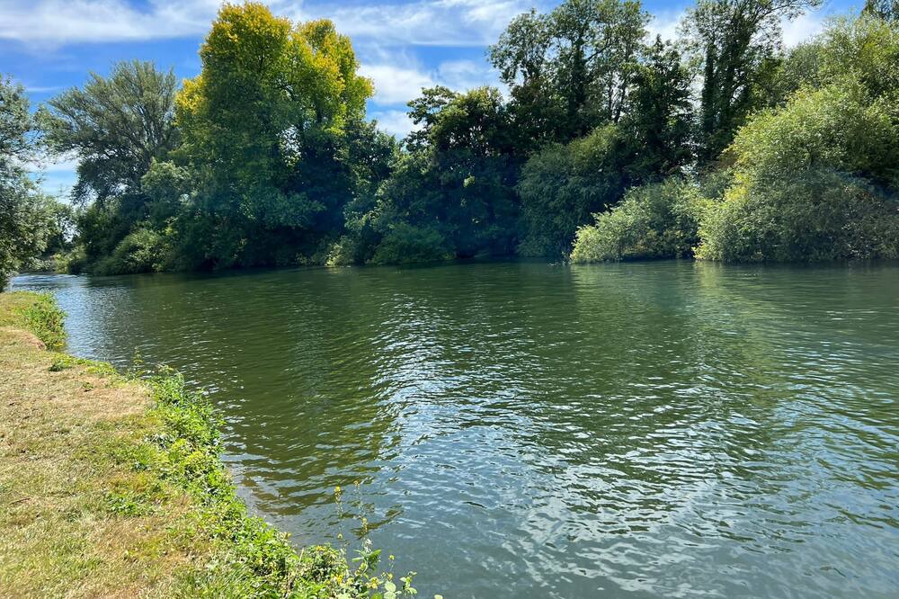 Photo of Others in Bray on Thames