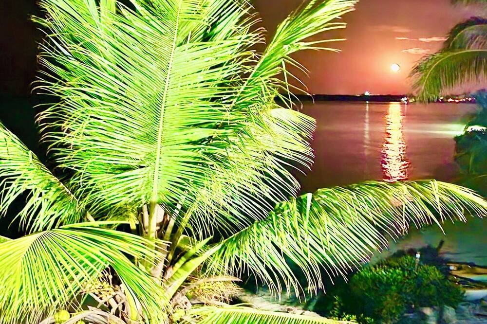 Photo of Outdoor in Tar Bay