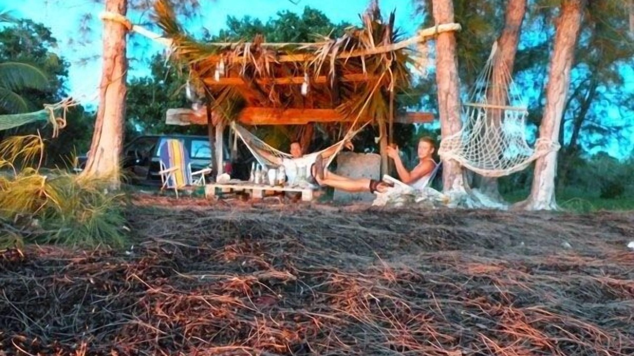 Photo of Others in Savannah Sound
