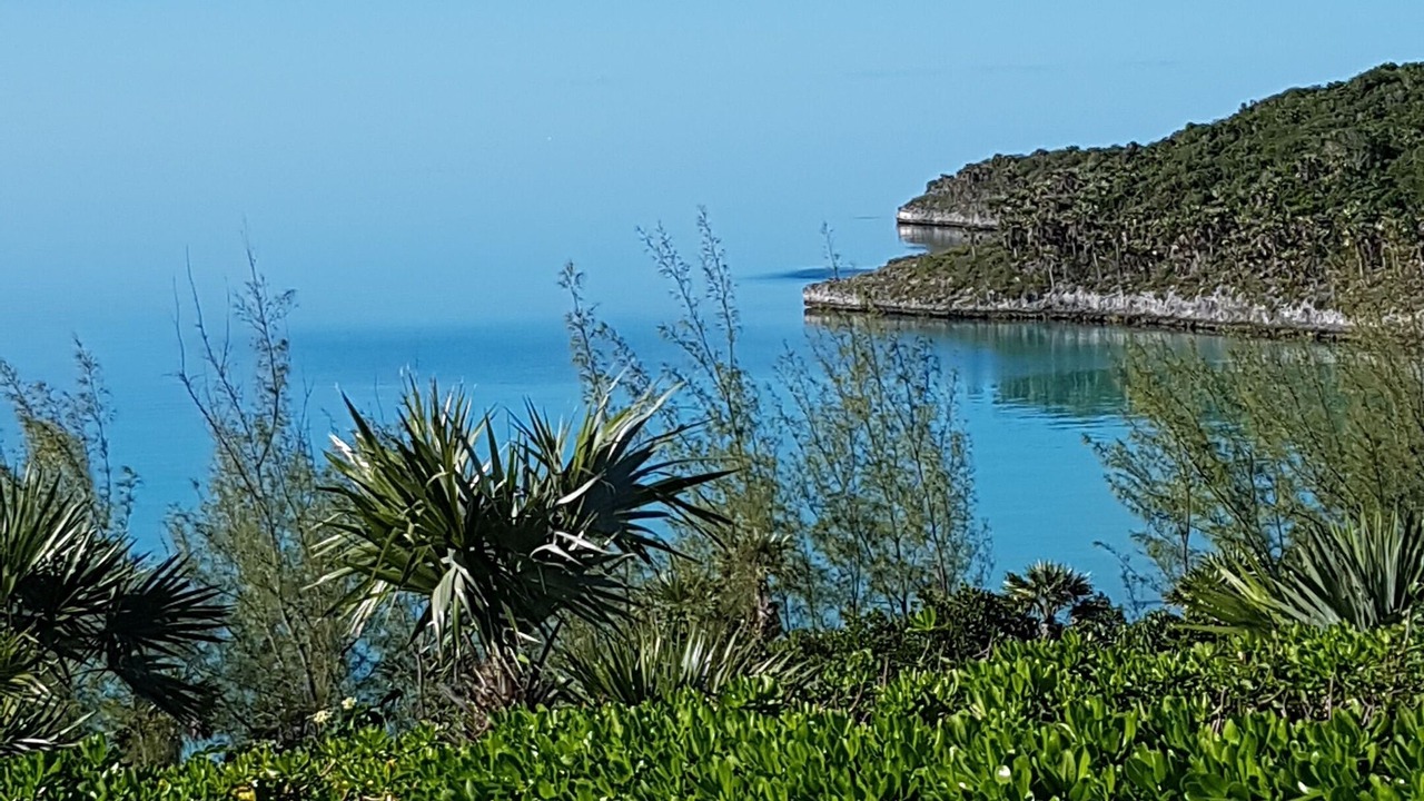 Photo of Others in South Palmetto Point
