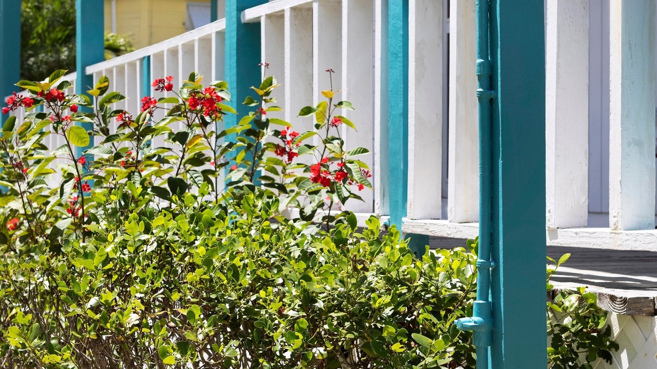 Photo of Outdoor in Governor's Harbour