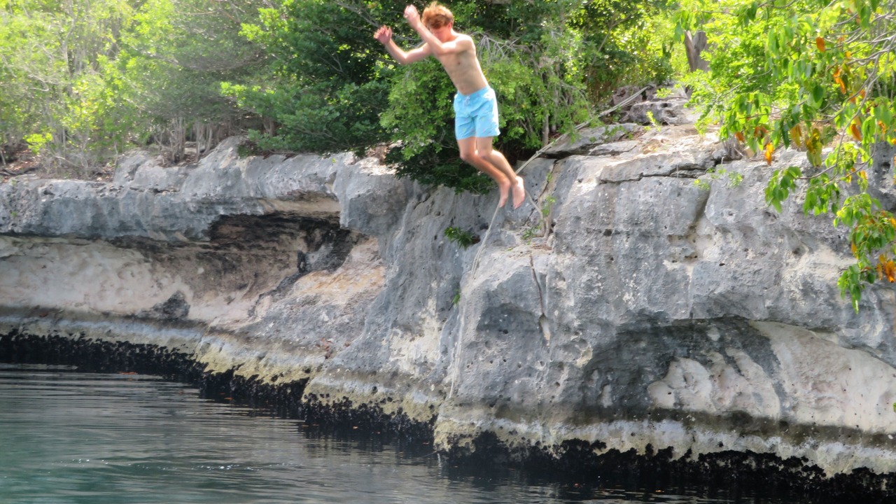 Photo of Others in North Palmetto Point