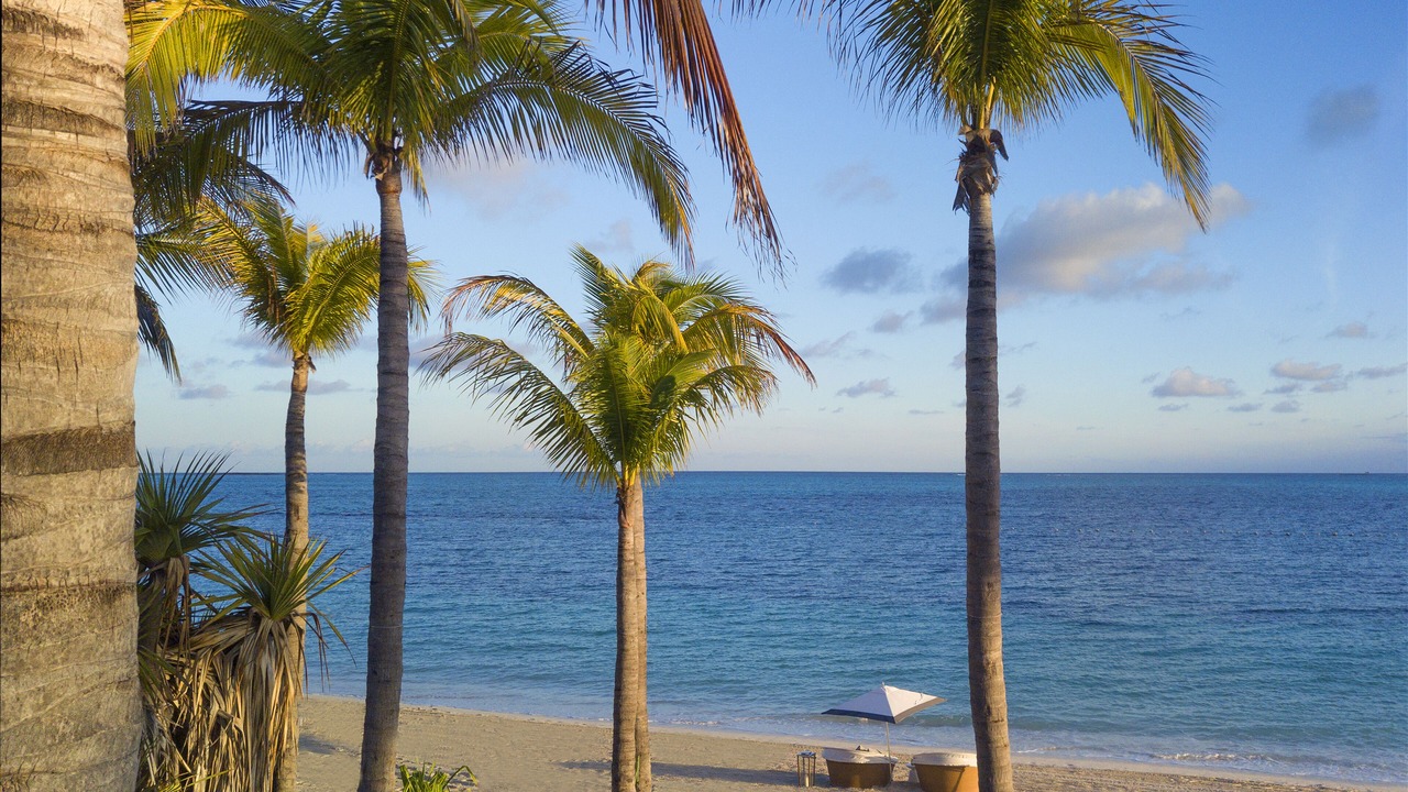 Photo of Others in Nassau