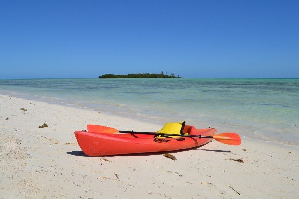 Photo of Others in Mangrove Cay