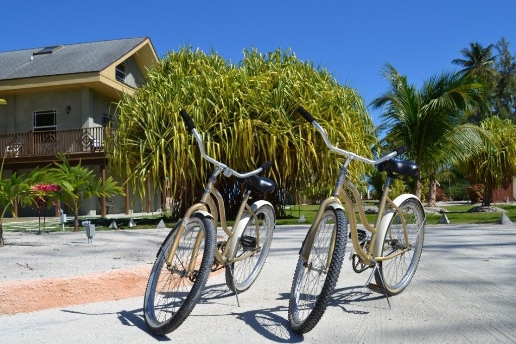 Photo of Outdoor in Mangrove Cay