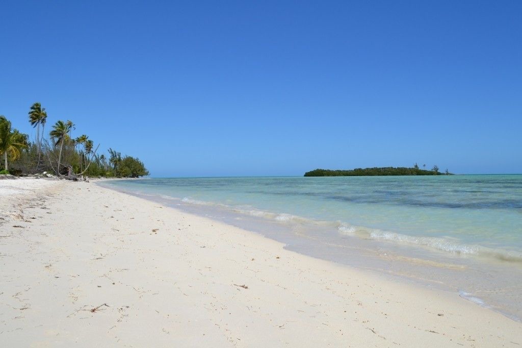 Photo of Outdoor in Mangrove Cay