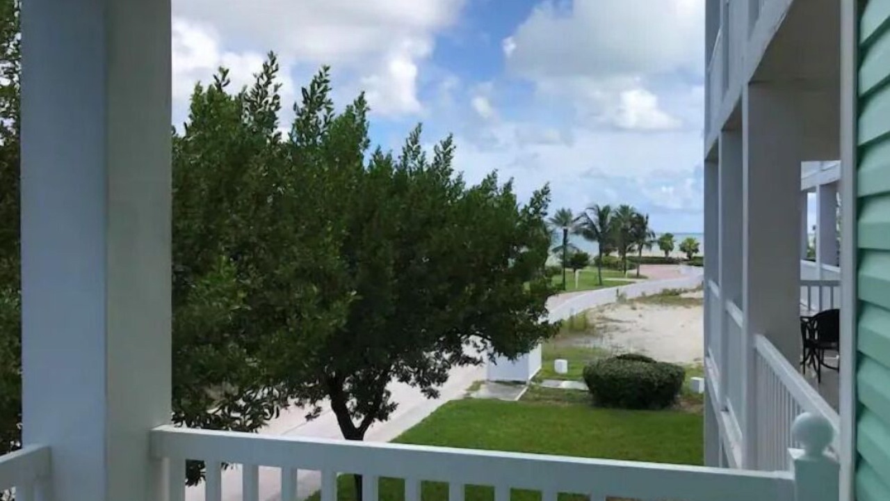 Photo of Outdoor in Alice Town