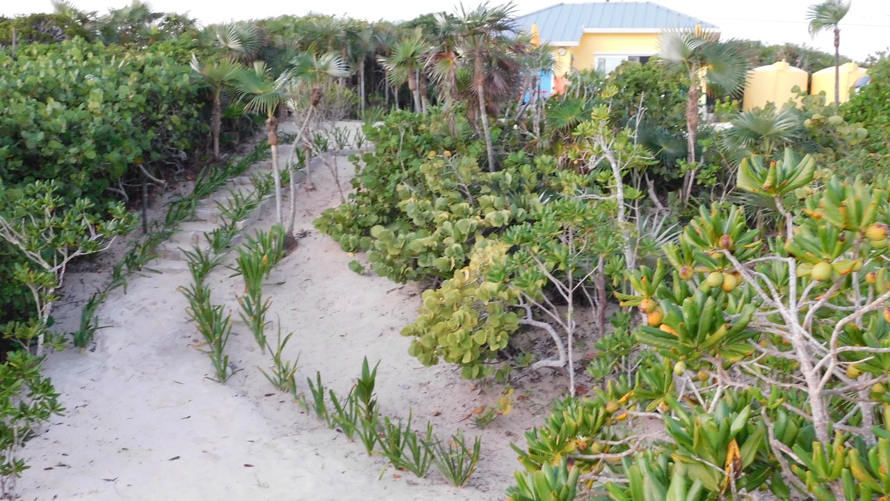 Photo of Outdoor in Port Howe