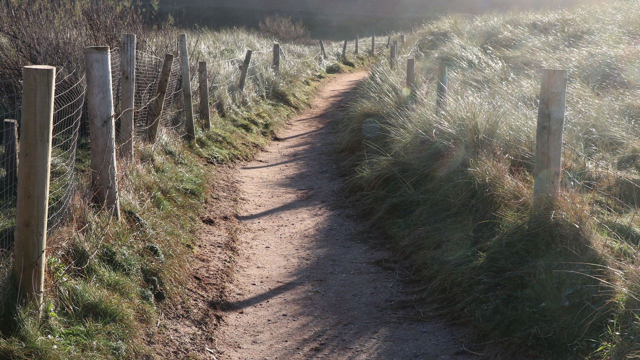 Photo of Outdoor in Burgh Island
