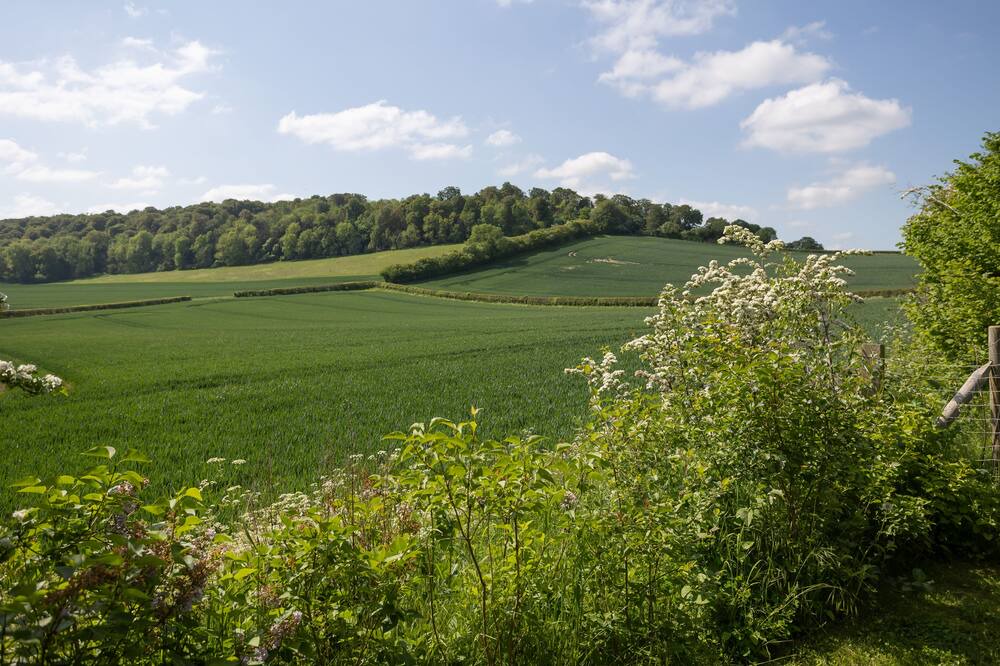 Photo of Others in Saunderton