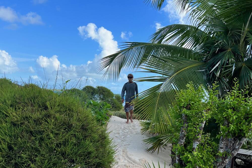 Photo of Others in Winding Bay