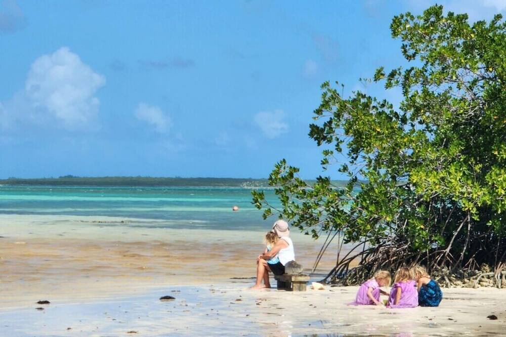Photo of Others in Winding Bay