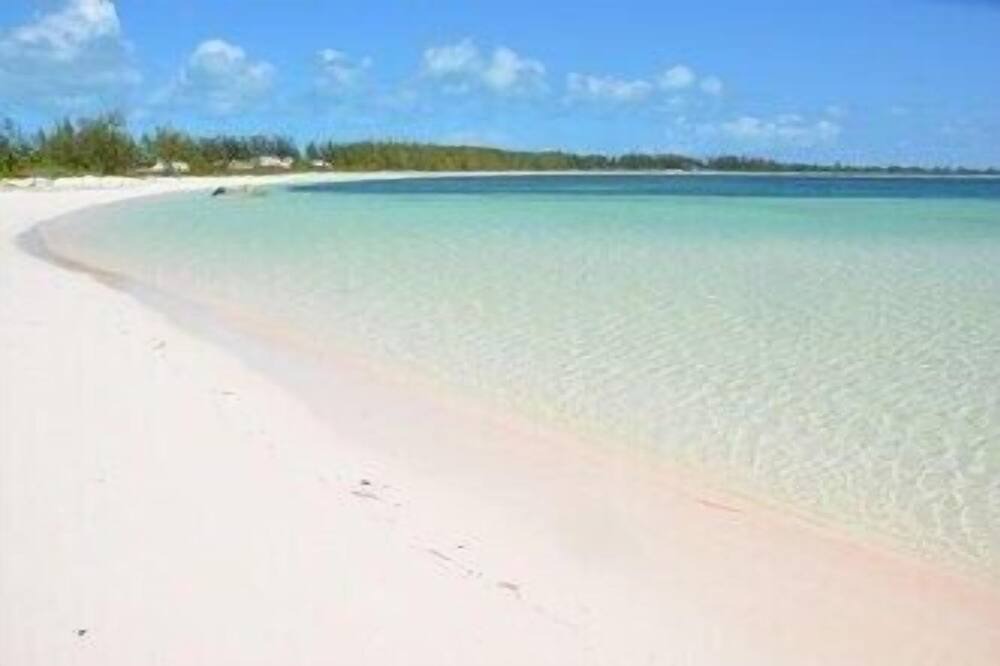 Photo of Others in Winding Bay