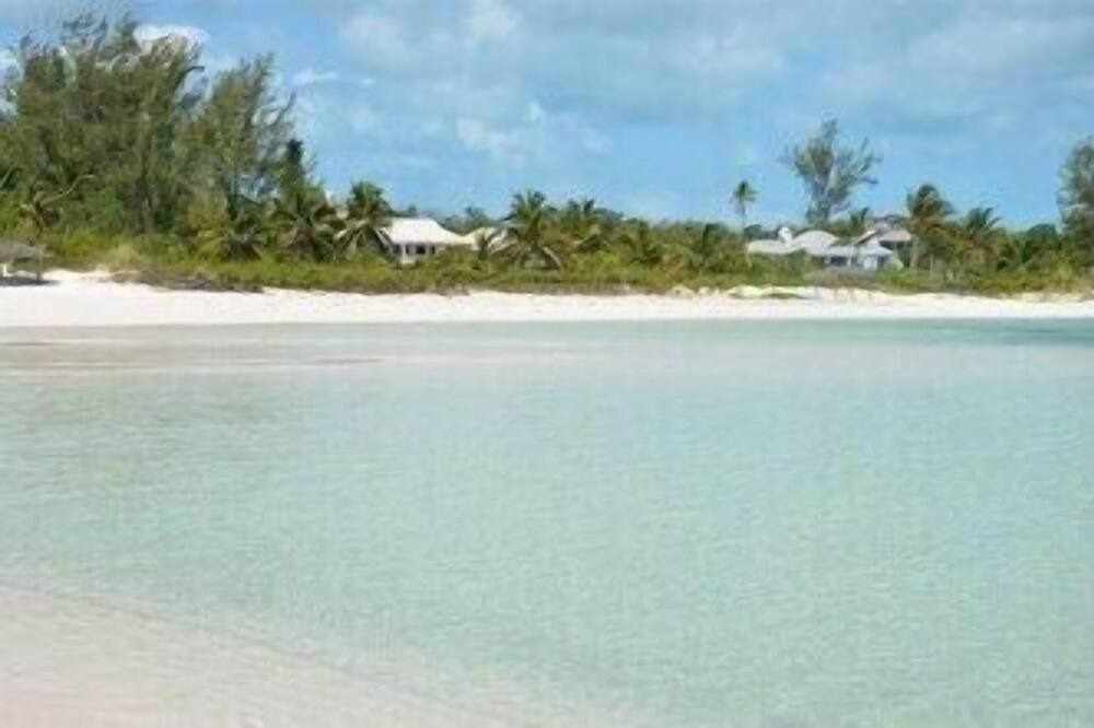 Photo of Others in Winding Bay