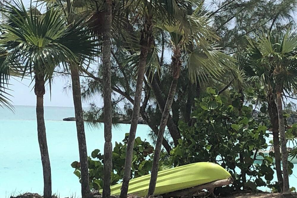 Photo of Others in New Bight