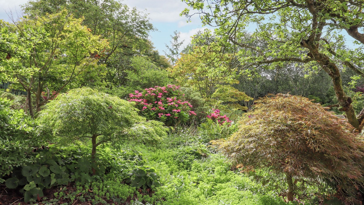 Photo of Outdoor in Mangotsfield