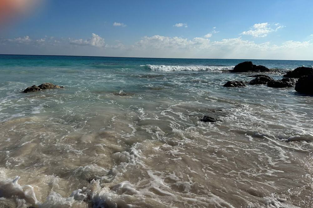Photo of Others in Bahama Palm Shores