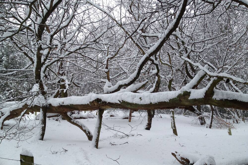 Photo of Outdoor in Frognal and Fitzjohns