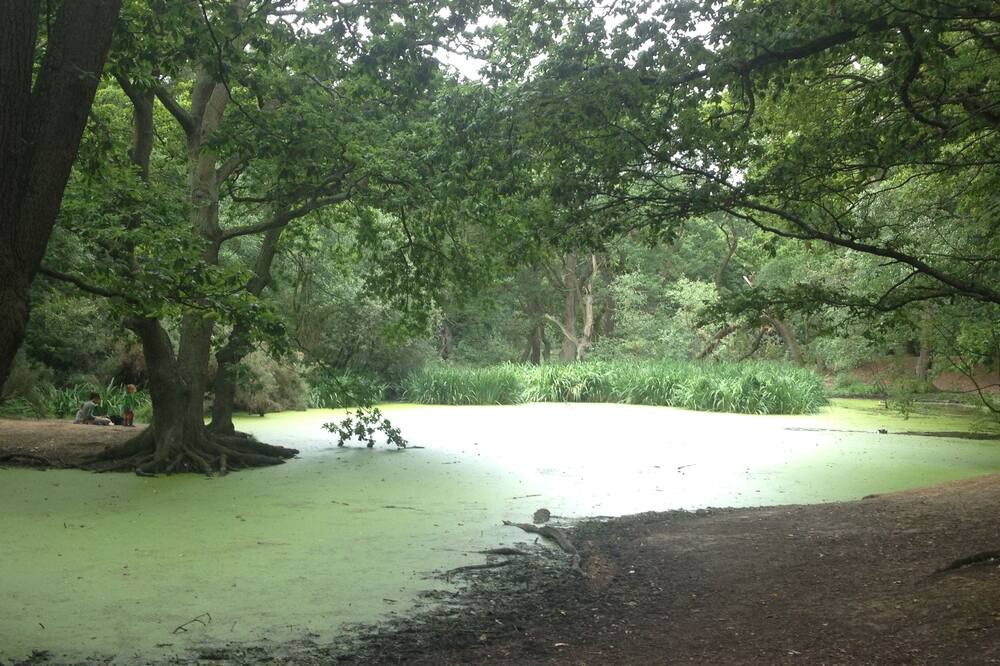 Photo of Outdoor in Frognal and Fitzjohns