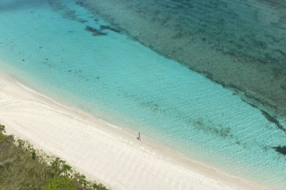 Photo of Others in Paradise Island