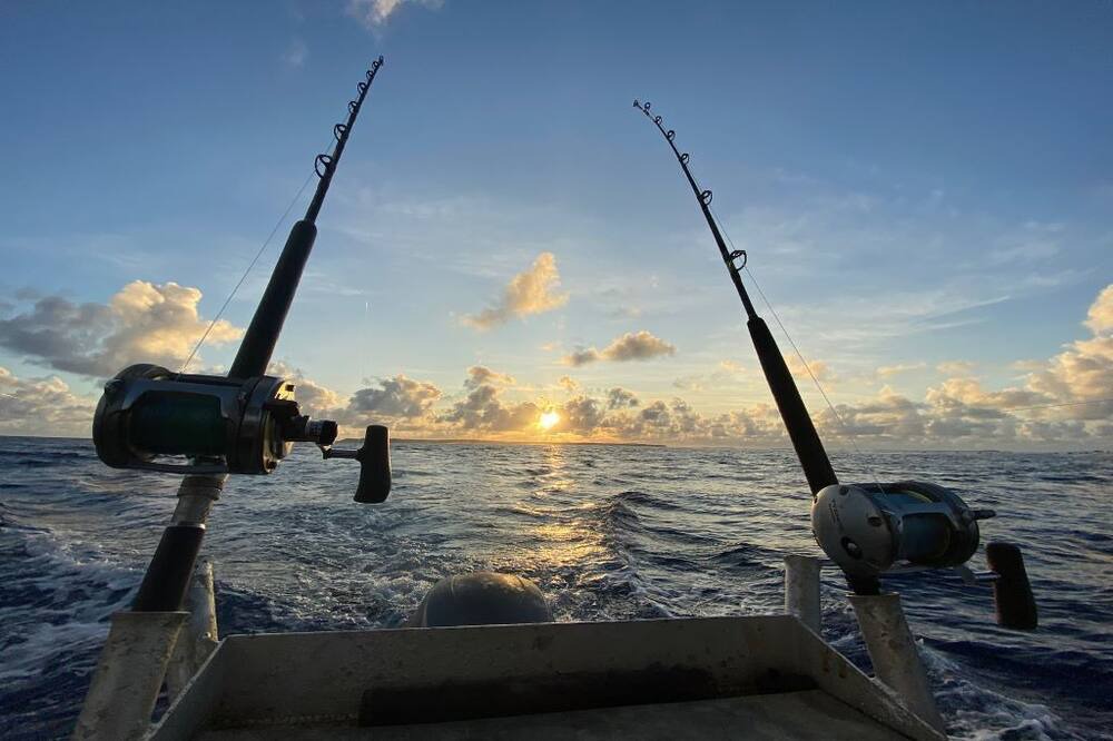Photo of Others in Paradise Island