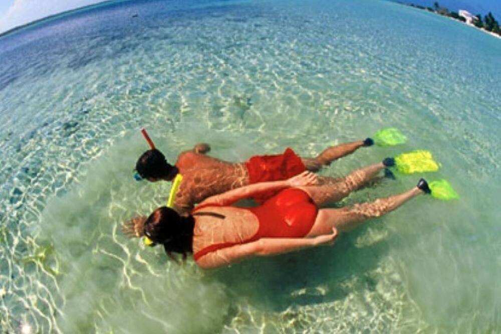 Photo of Others in Paradise Island