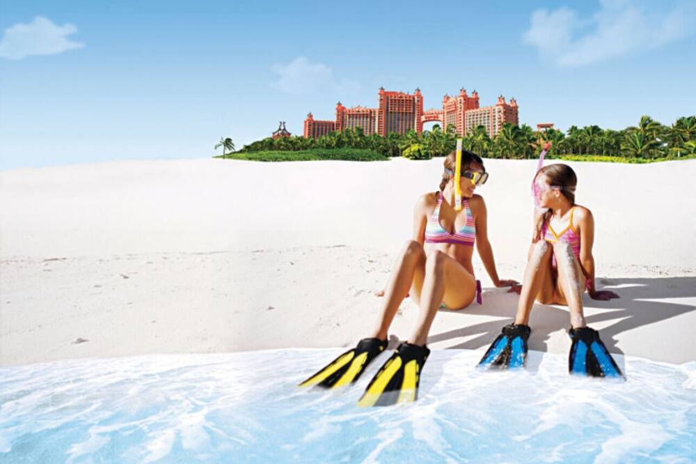 Photo of Others in Paradise Island