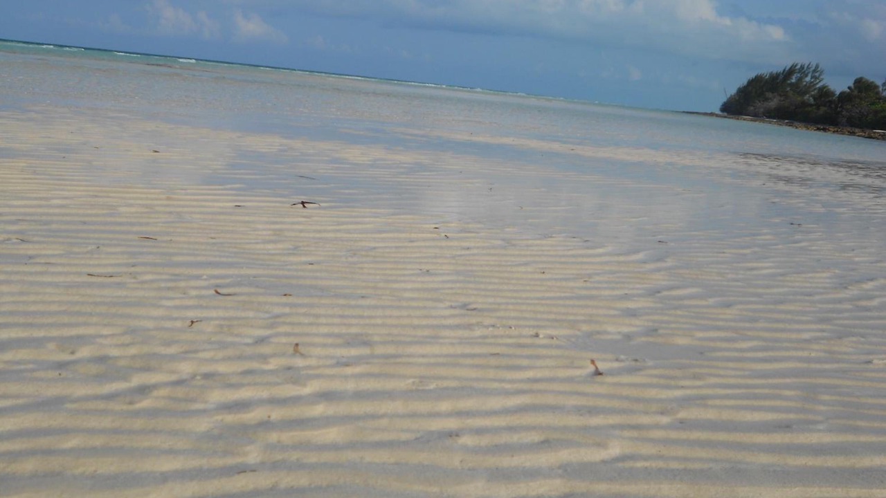 Photo of Others in Kemps Bay