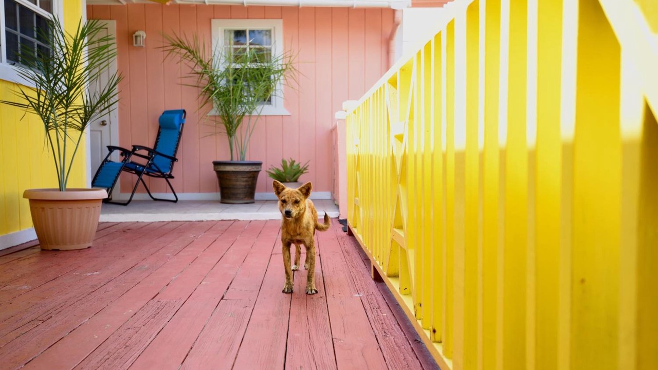 Photo of Patio Balcony in Kemps Bay