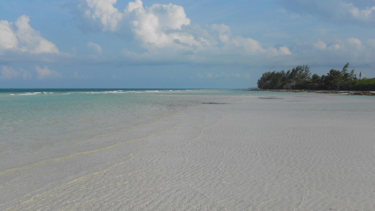 Photo of Others in Kemps Bay