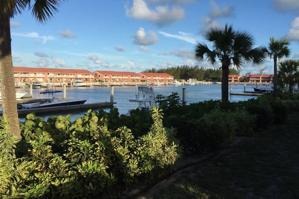Photo of Others in South Bimini