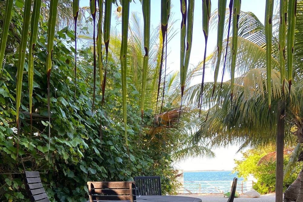 Photo of Others in Nassau