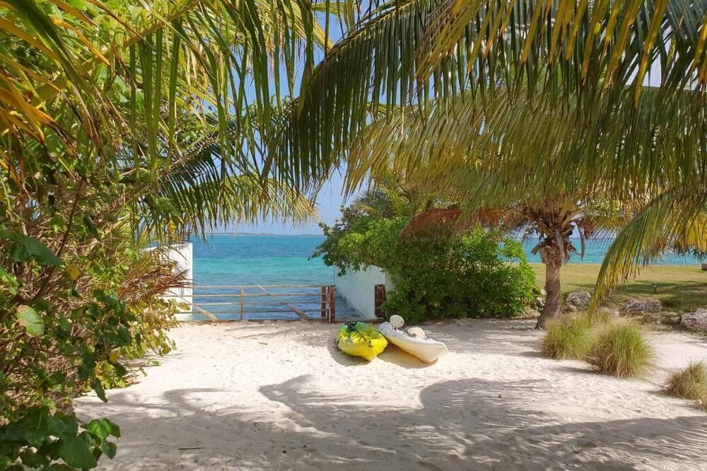 Photo of Others in Nassau