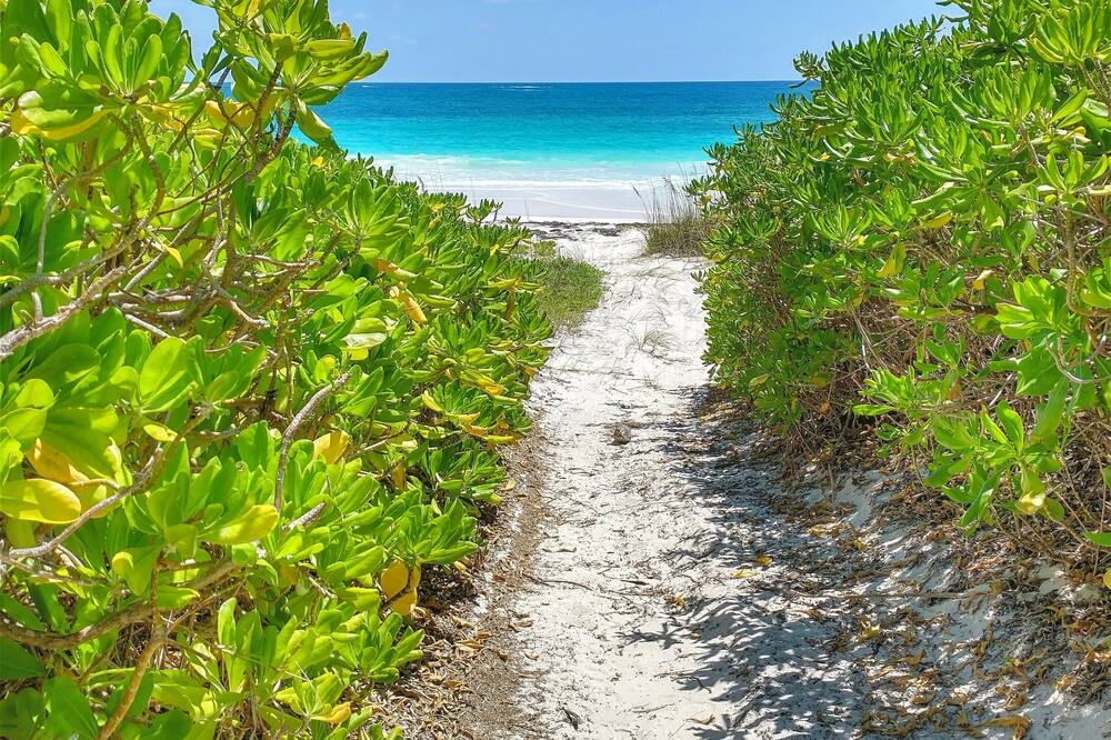 Photo of Others in Crossing Rocks