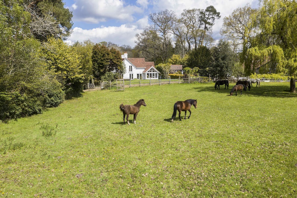 Photo of Outdoor in Burley