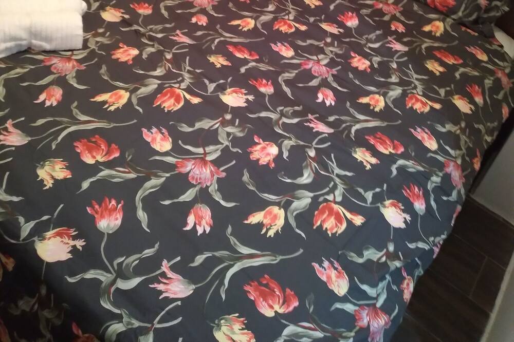 Photo of Bedroom in Alice Town