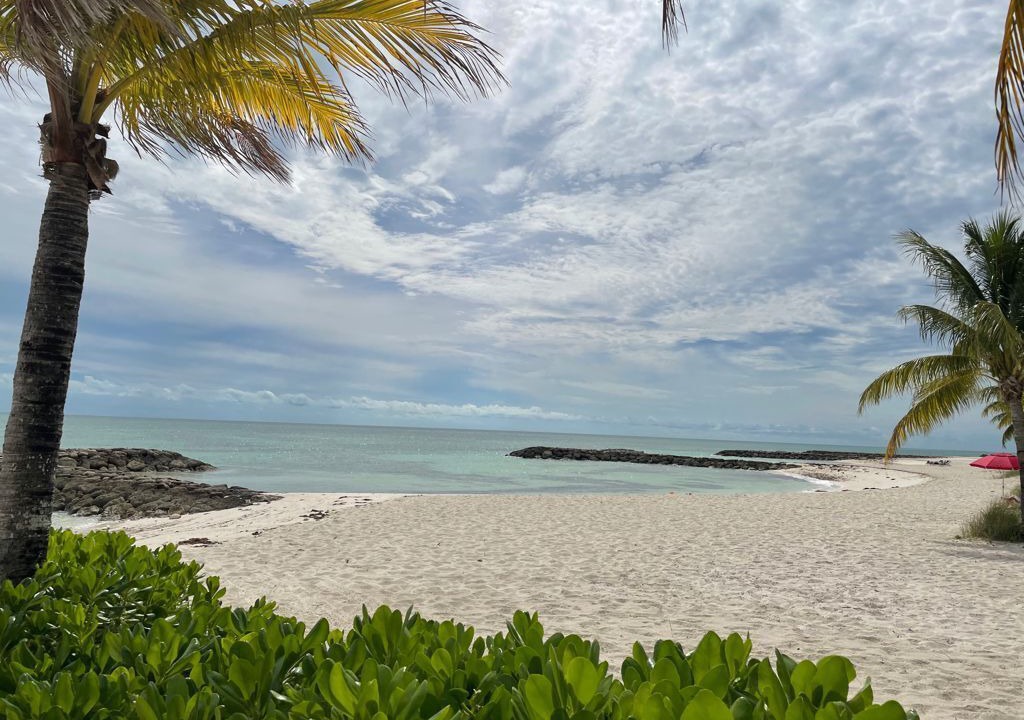 Photo of Others in Palm Cay
