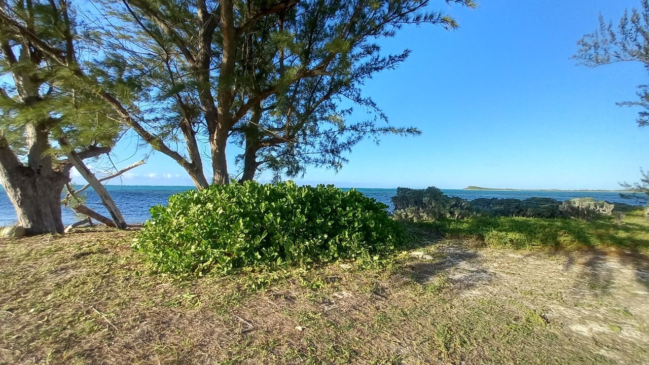 Photo of Others in Colonel Hill