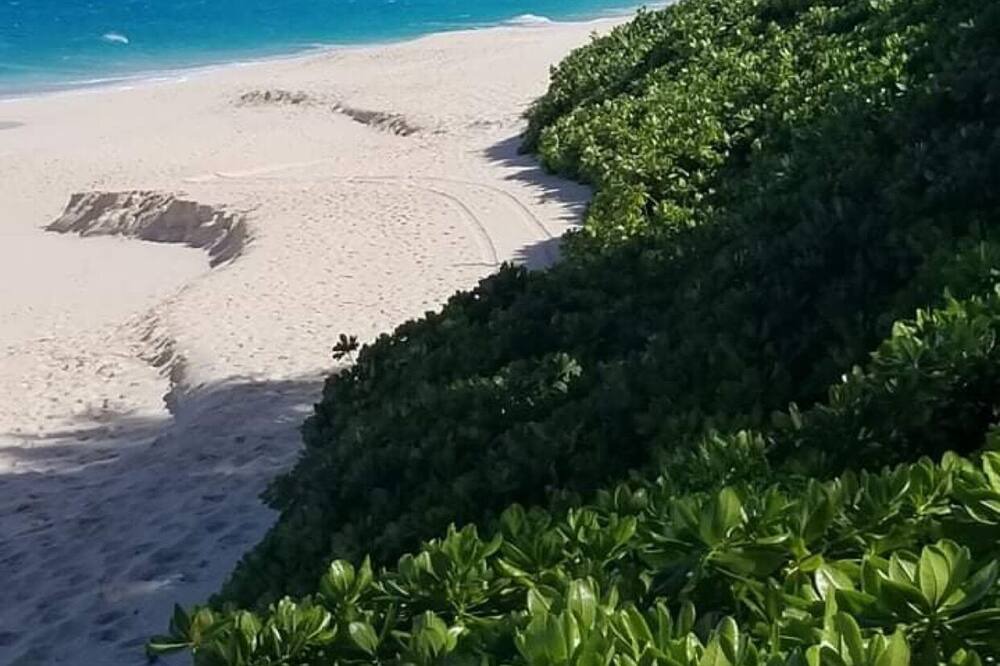 Photo of Others in Paradise Island