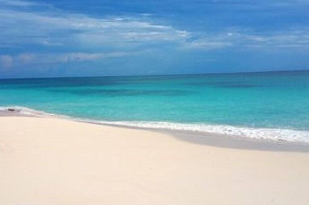 Photo of Others in North Palmetto Point