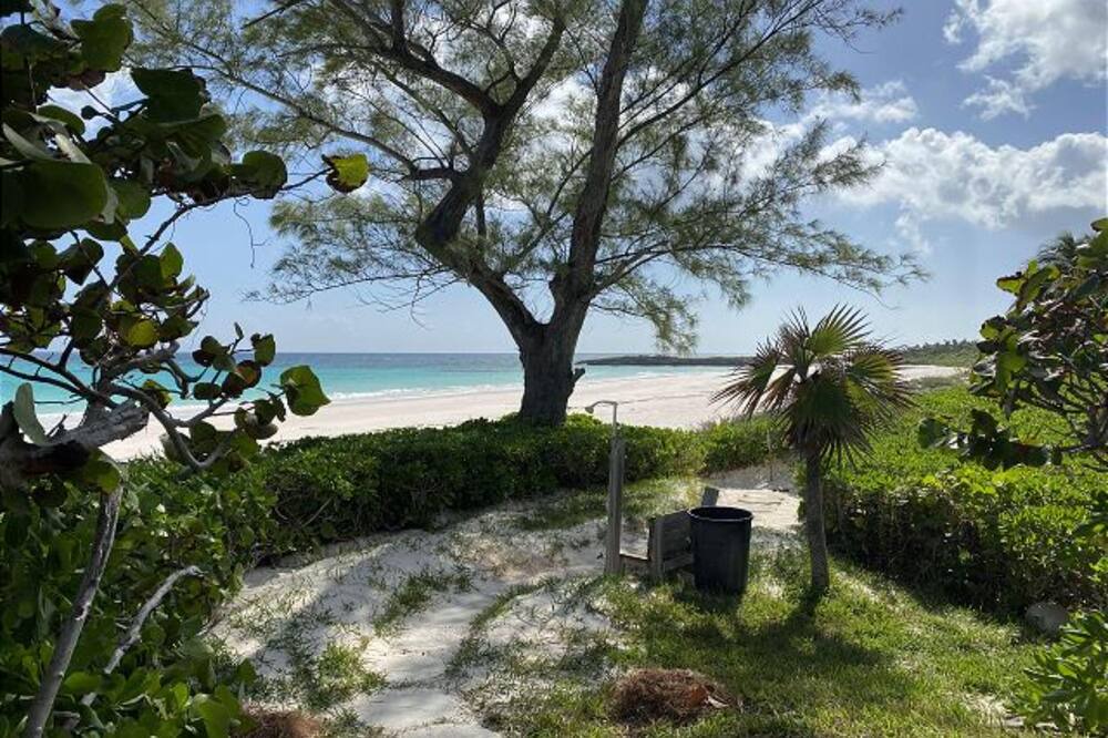 Photo of Outdoor in Savannah Sound